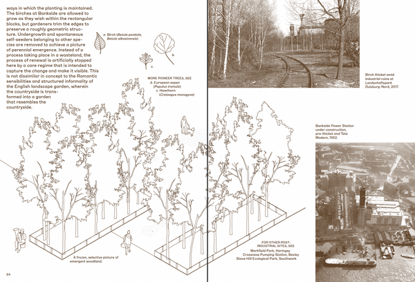 PRE-ORDER London Arboretum